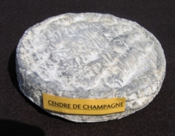Cheeses of the world - Cendré de Champagne